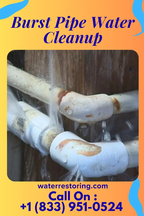 Burst Pipe Water Cleanup in Mandeville, LA
