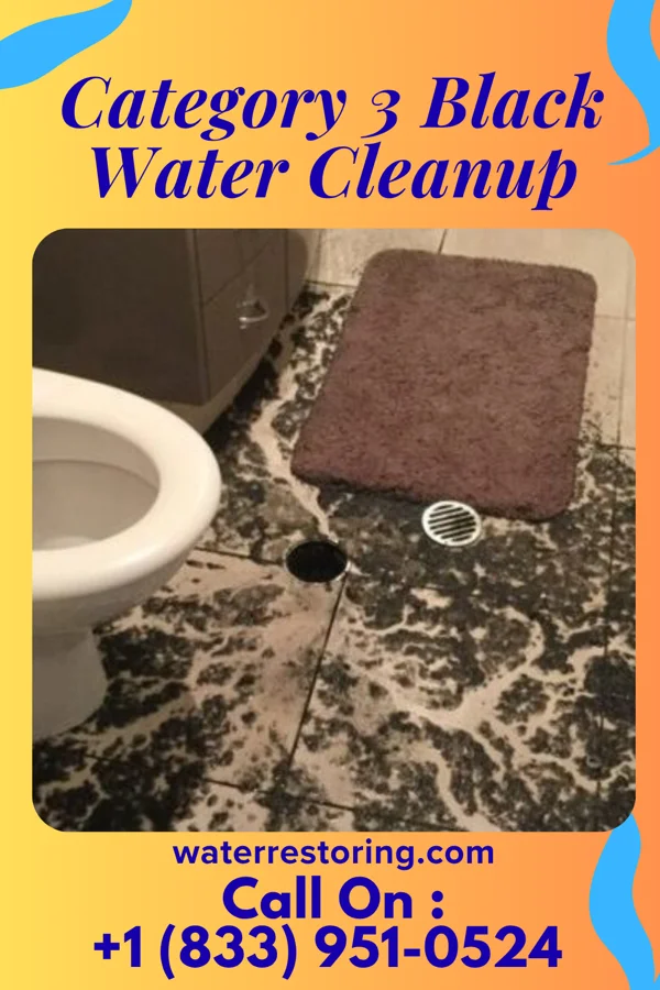 Category 3 Black Water Cleanup in Mandeville, LA