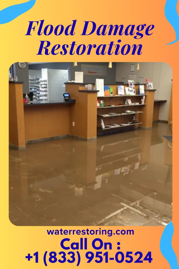 Flood Damage Restoration in Mandeville, LA
