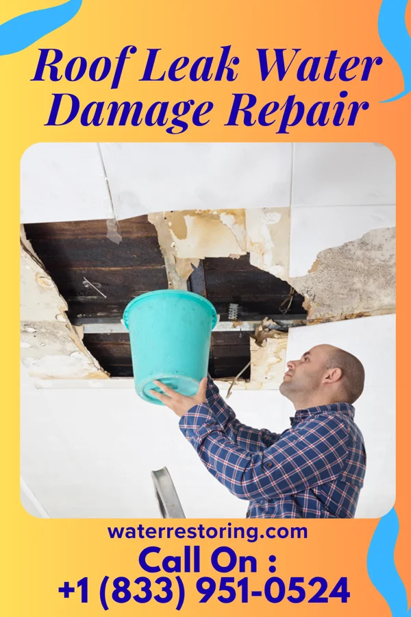 Roof Leak Water Damage Repair in Mandeville, LA