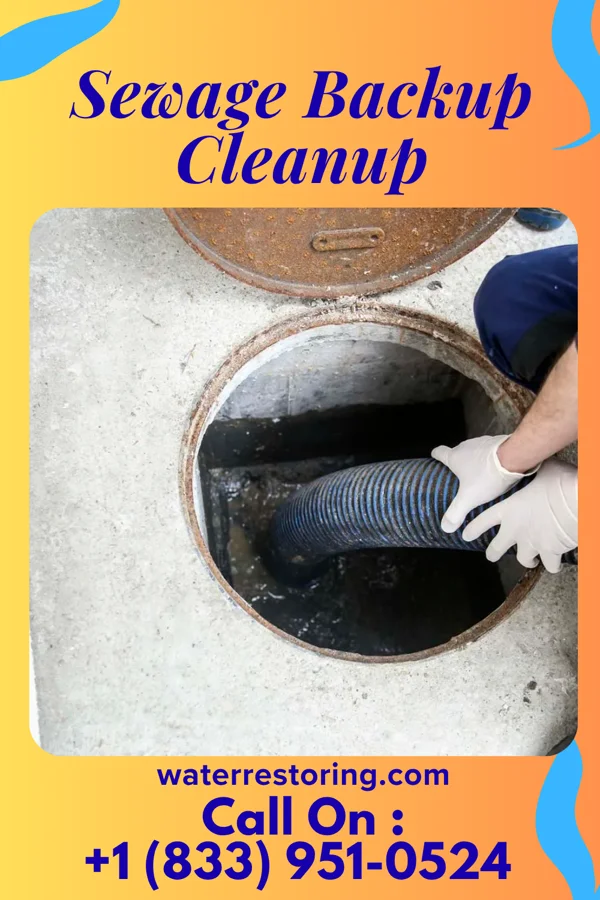 Sewage Backup Cleanup in Mandeville, LA