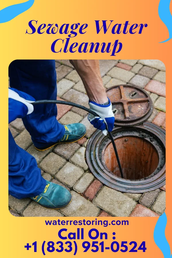Sewage Water Cleanup in Mandeville, LA