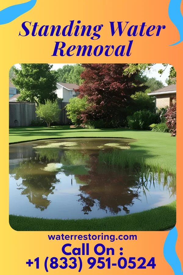 Standing Water Removal in Mandeville, LA